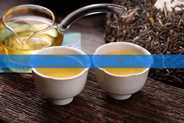 静和堂梁明宗普洱茶