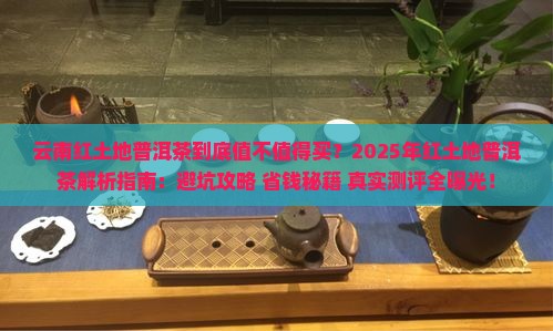 云南红土地普洱茶