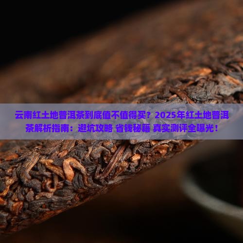 云南红土地普洱茶