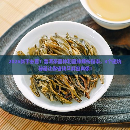 普洱茶的品种和品牌
