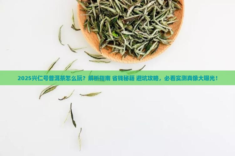 兴仁号普洱茶怎么玩
