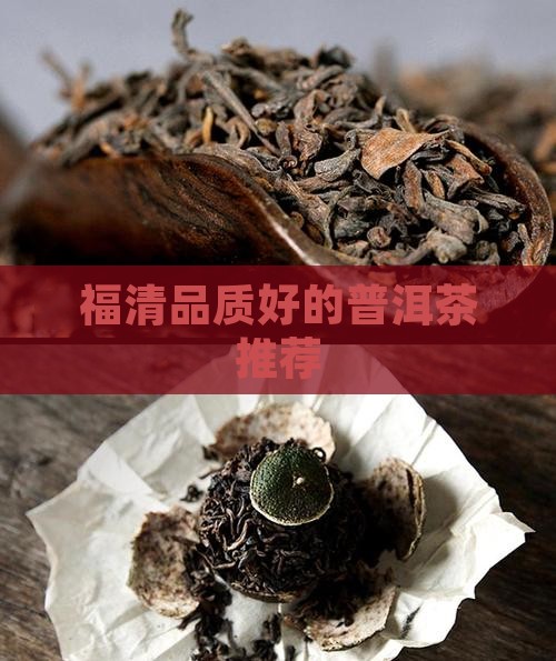 福清品质好的普洱茶