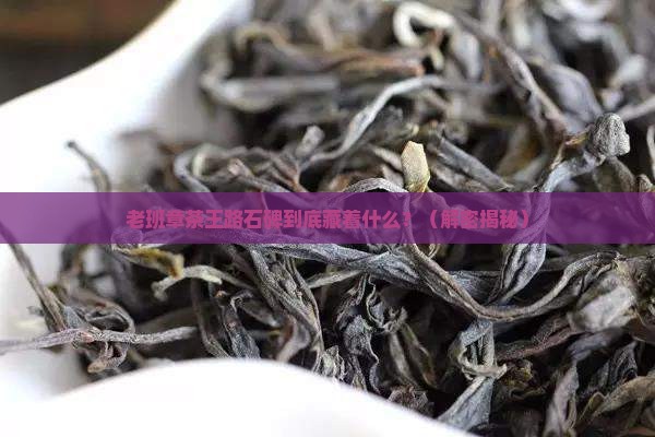 老班章茶王路石碑