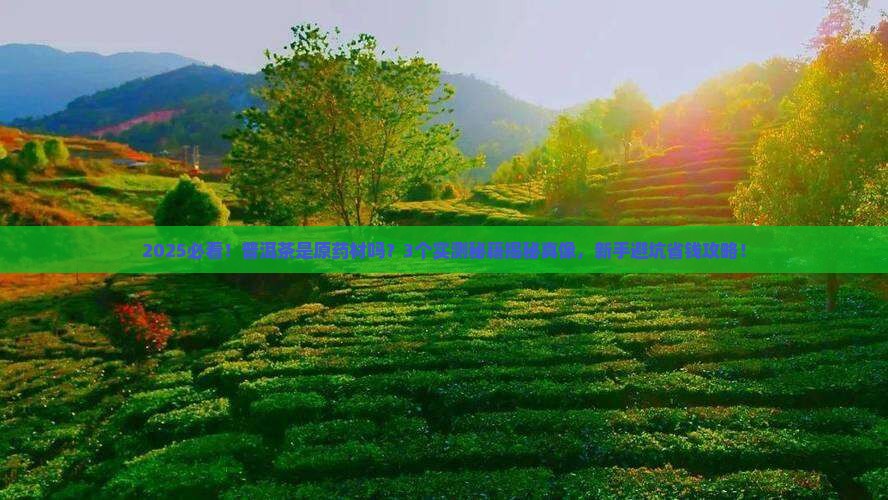 普洱茶是原药材吗