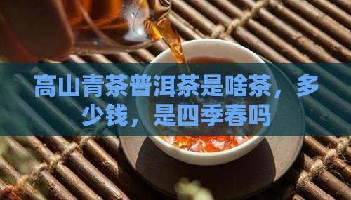高山青茶普洱茶