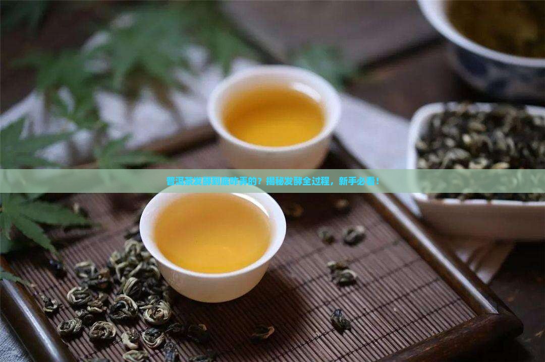 普洱茶发酵方式是什么意思