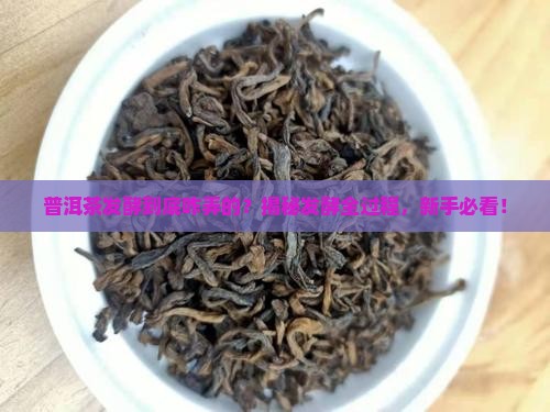 普洱茶发酵方式是什么意思