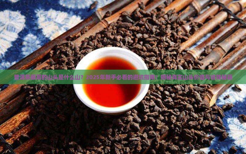 普洱茶最高的山头是什么山