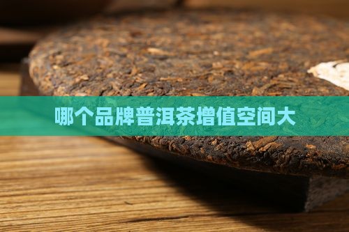 哪个品牌普洱茶增值空间大