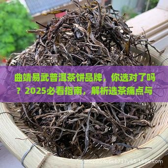 曲靖易武普洱茶饼品牌