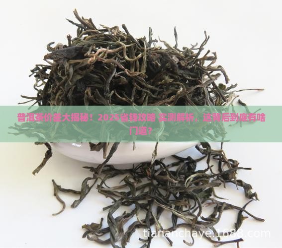 普洱茶价钱为什么差那么多