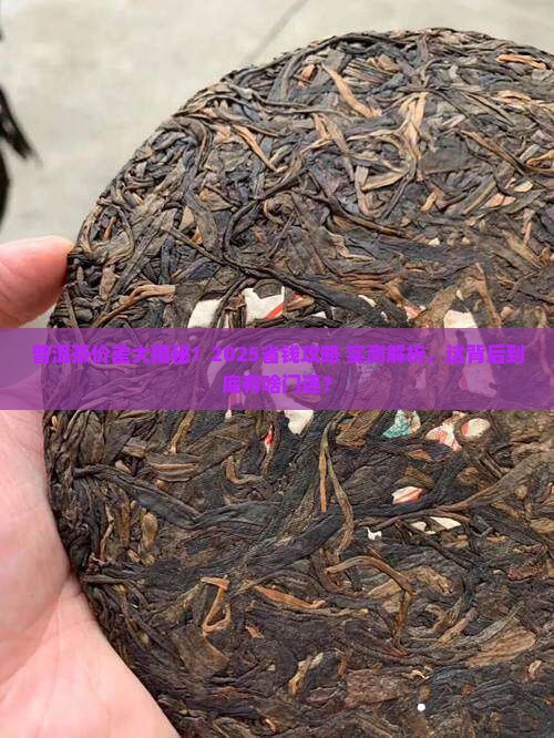 普洱茶价钱为什么差那么多