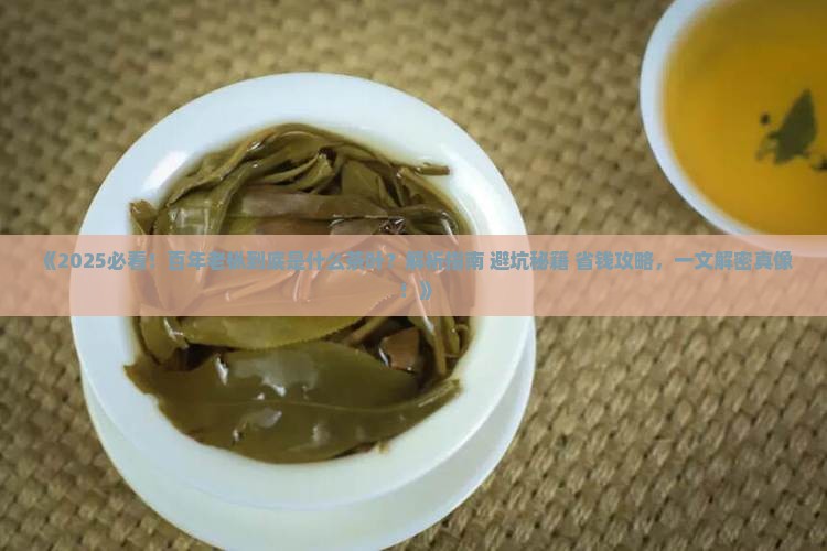 百年老枞是什么茶叶