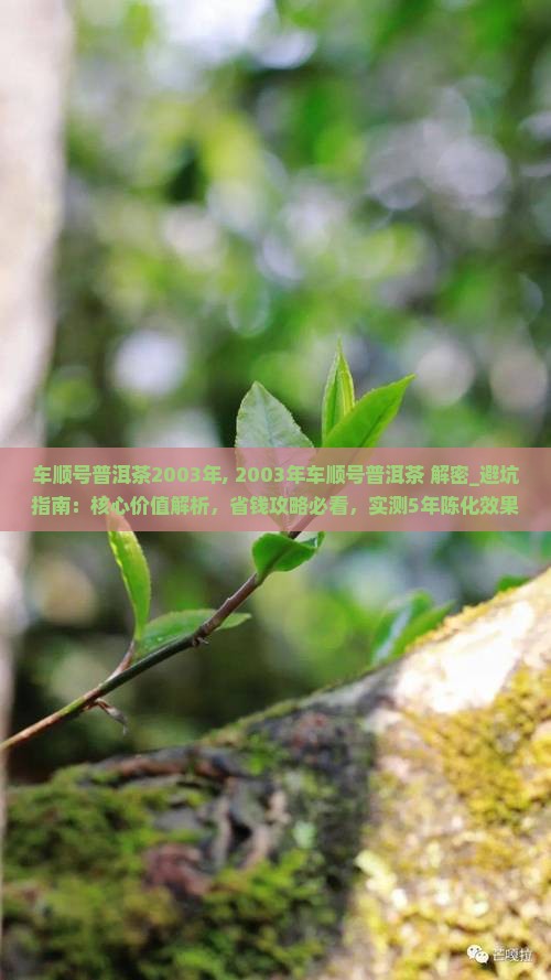 车顺号普洱茶2003年