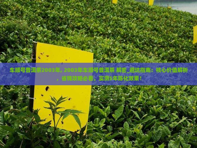 车顺号普洱茶2003年