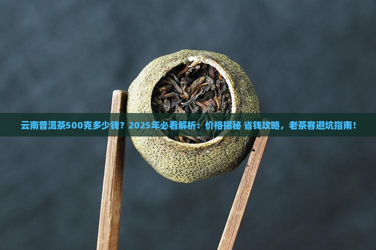 云南普洱茶500克多少钱