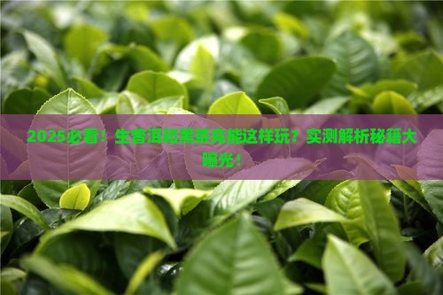 生普洱茶可以与黑茶同熟
