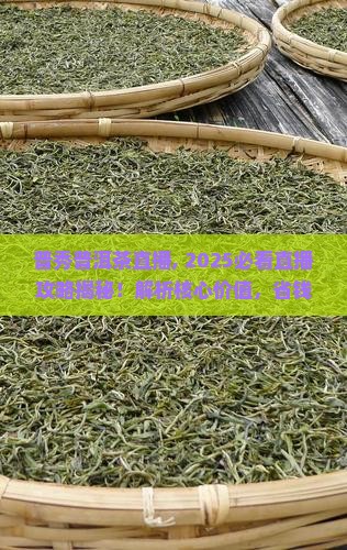 普秀普洱茶直播