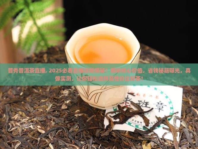 普秀普洱茶直播