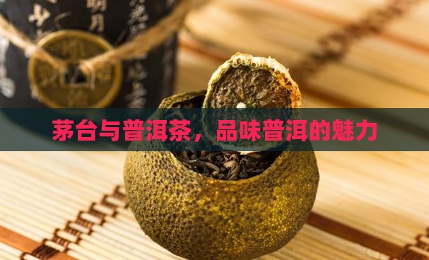 两瓶茅台加普洱茶