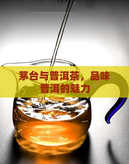 两瓶茅台加普洱茶