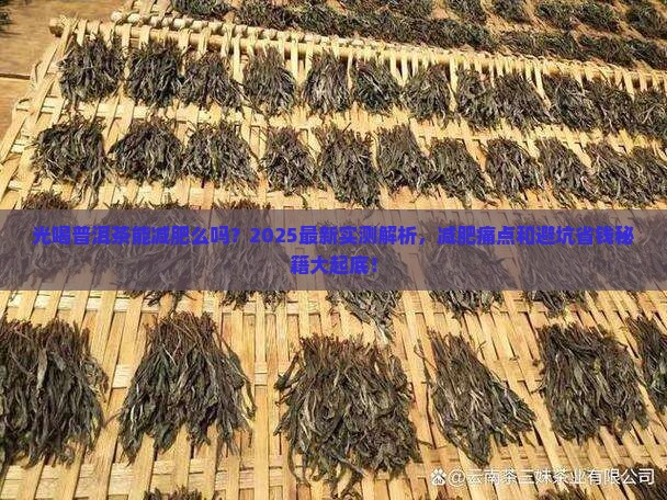 光喝普洱茶能减肥么吗