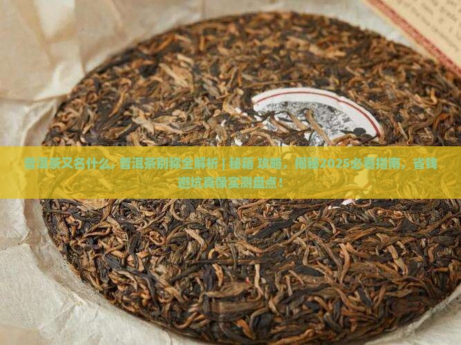 普洱茶又名什么