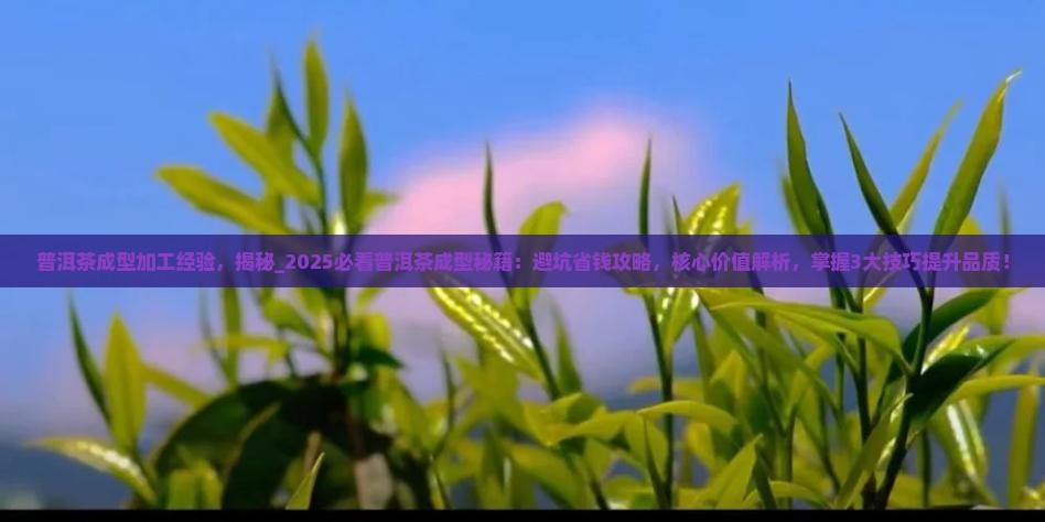 普洱茶成型加工经验