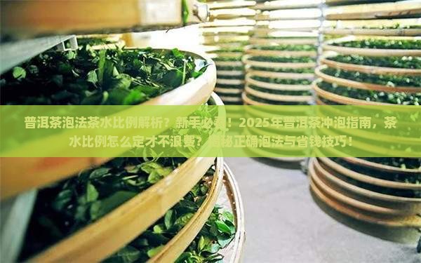 普洱茶泡法茶水比例