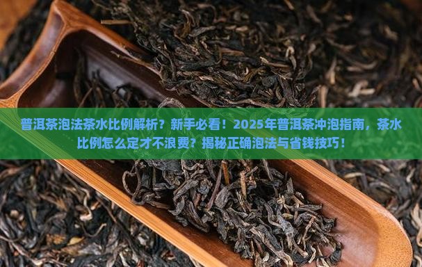 普洱茶泡法茶水比例