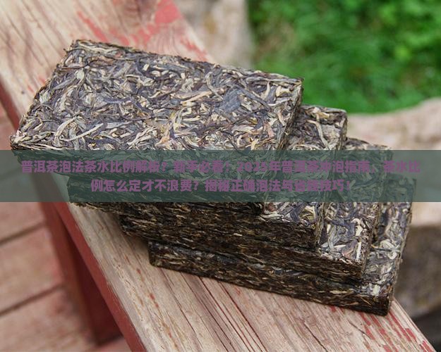 普洱茶泡法茶水比例