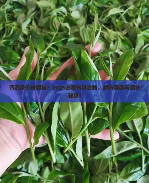 普洱茶价格倒挂