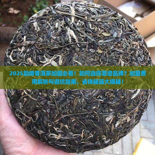 勐傣普洱茶加盟
