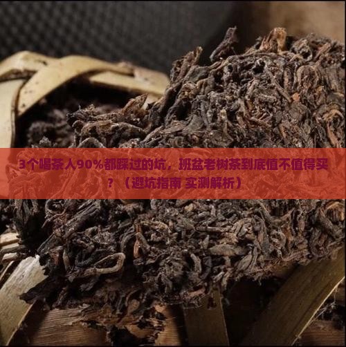 中茶班盆印象老树茶