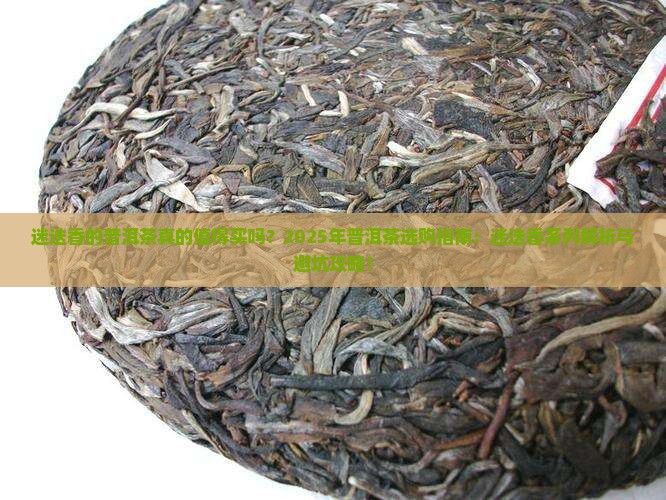 迷迭香的普洱茶