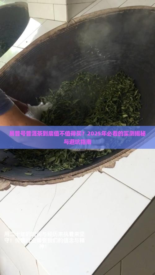 易普号普洱茶怎么样