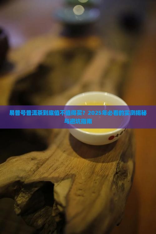 易普号普洱茶怎么样