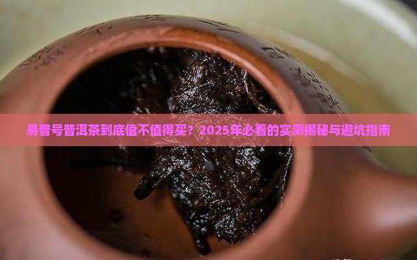 易普号普洱茶怎么样