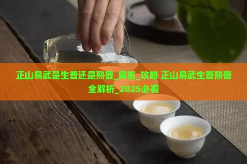 正山易武是生普还是熟普