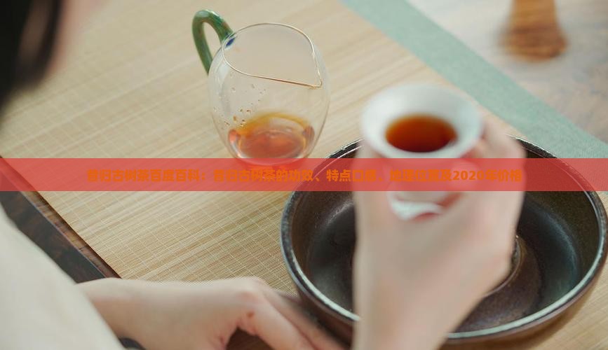 昔归古树茶百度百科