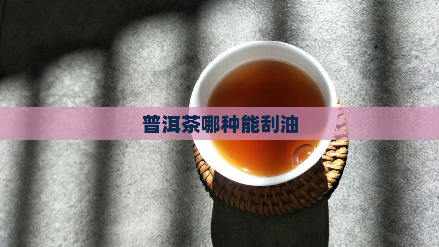 普洱茶哪种能刮油