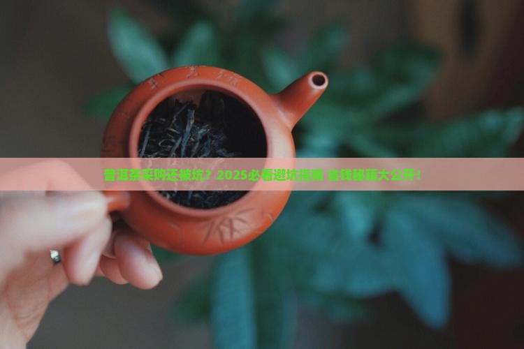 普洱茶的采购合同