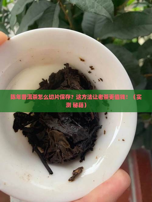陈年普洱茶怎么切片保存