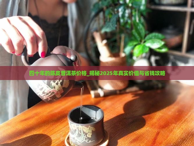 四十年的陈皮普洱茶价格