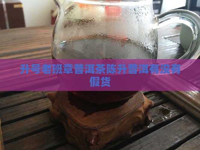 陈升号老班章有没有假货