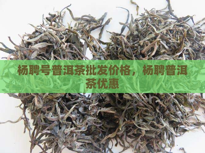 杨聘号生普洱茶批发