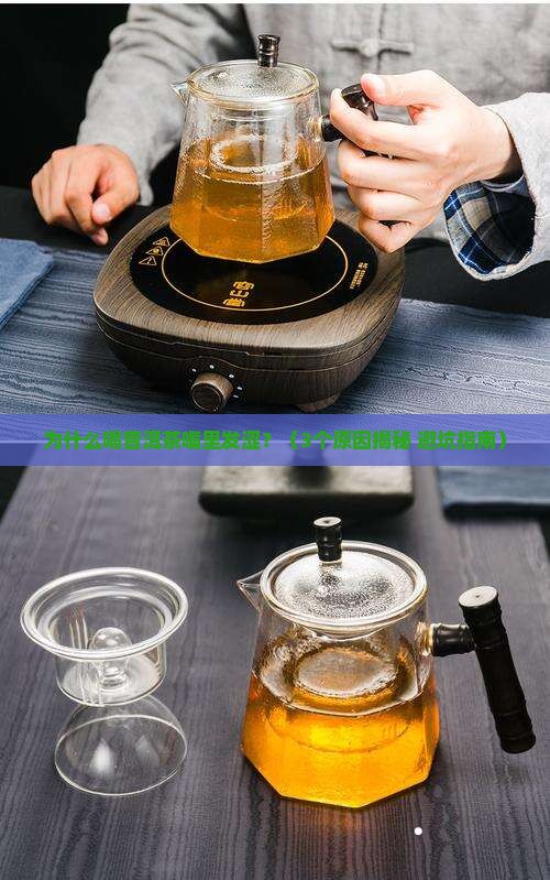 普洱茶为什么身体发涩