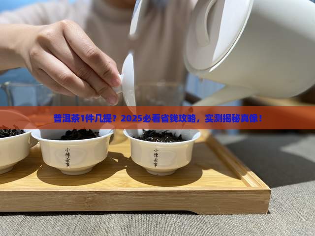普洱茶1件几提
