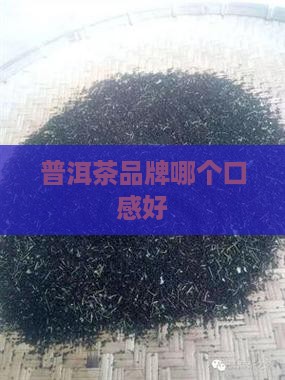 普洱茶品牌哪个口感好