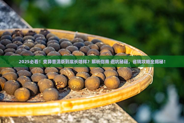 变异普洱茶是什么样的